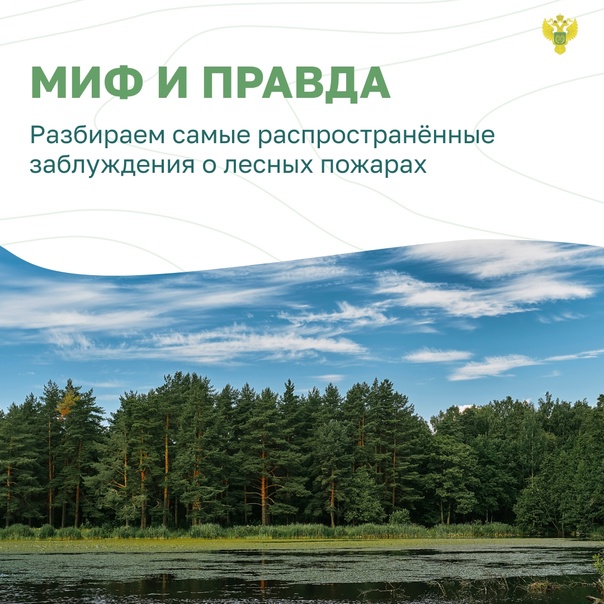 Остановим огонь, Миф и Правда
