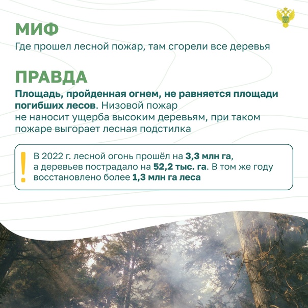 Остановим огонь, Миф и Правда