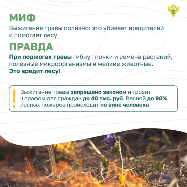 Остановим огонь, Миф и Правда