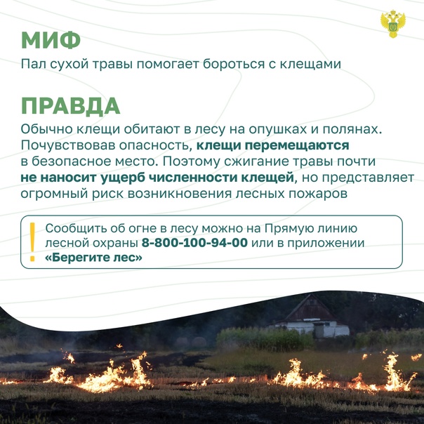 Остановим огонь, Миф и Правда