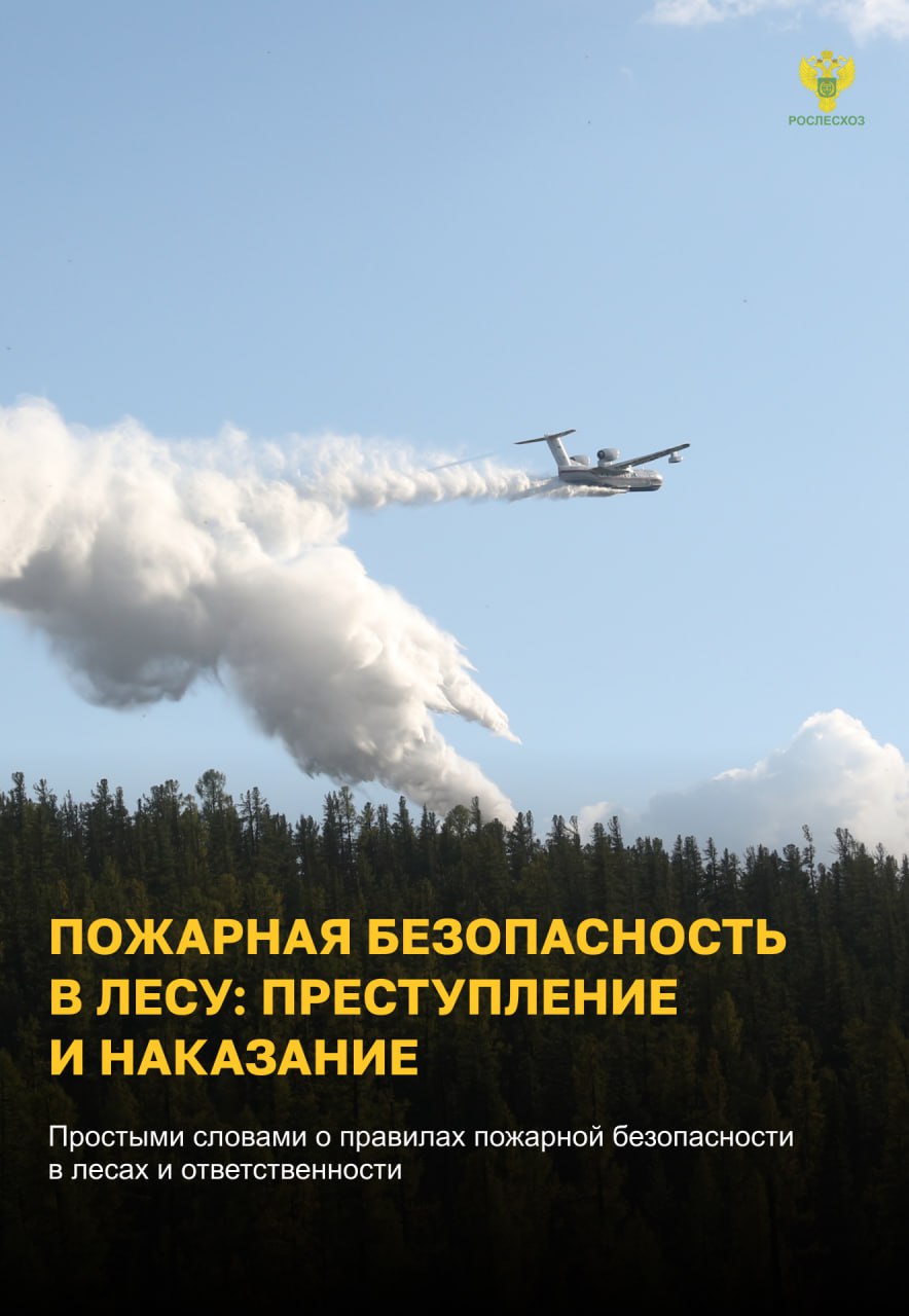 Остановим огонь, Правила