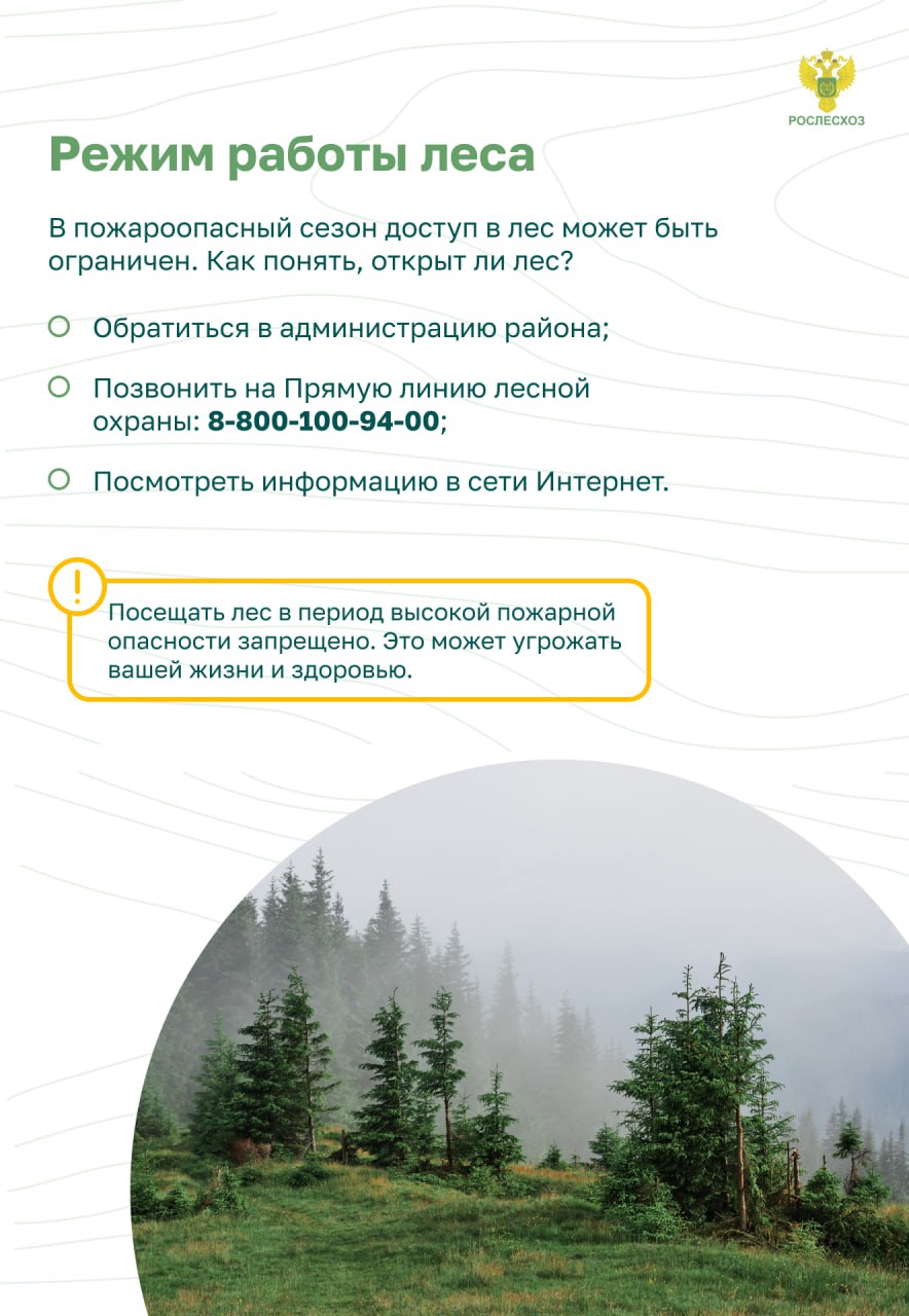Остановим огонь, Правила