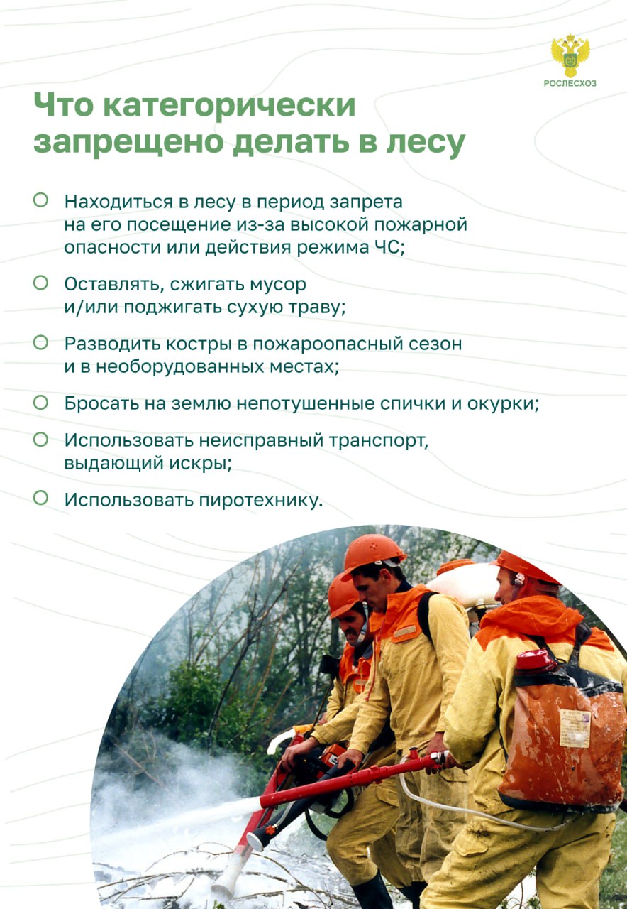 Остановим огонь, Правила