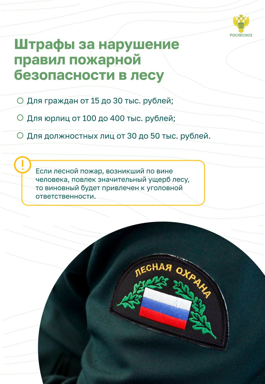 Остановим огонь, Правила