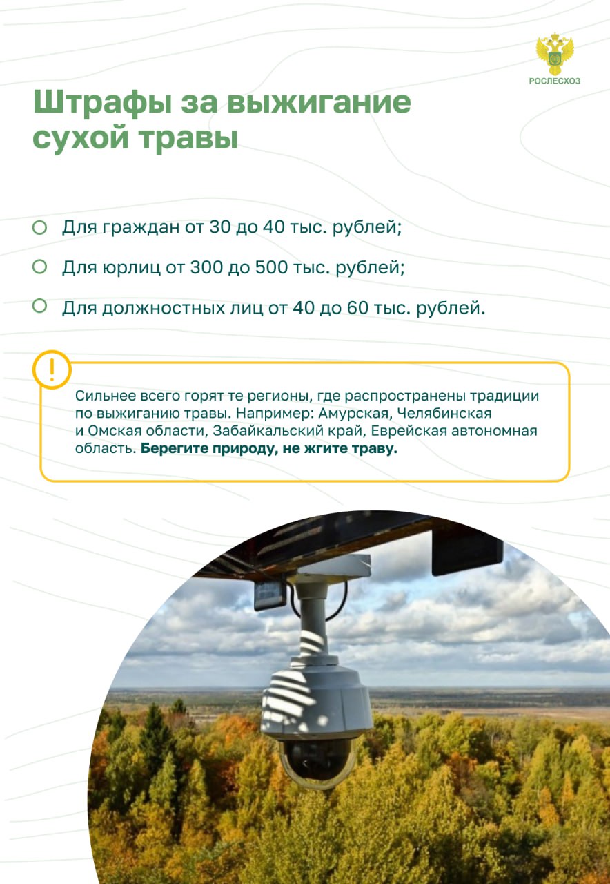 Остановим огонь, Правила