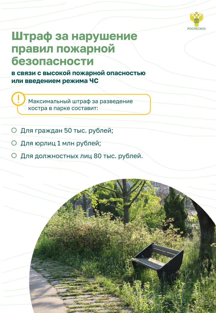 Остановим огонь, Правила