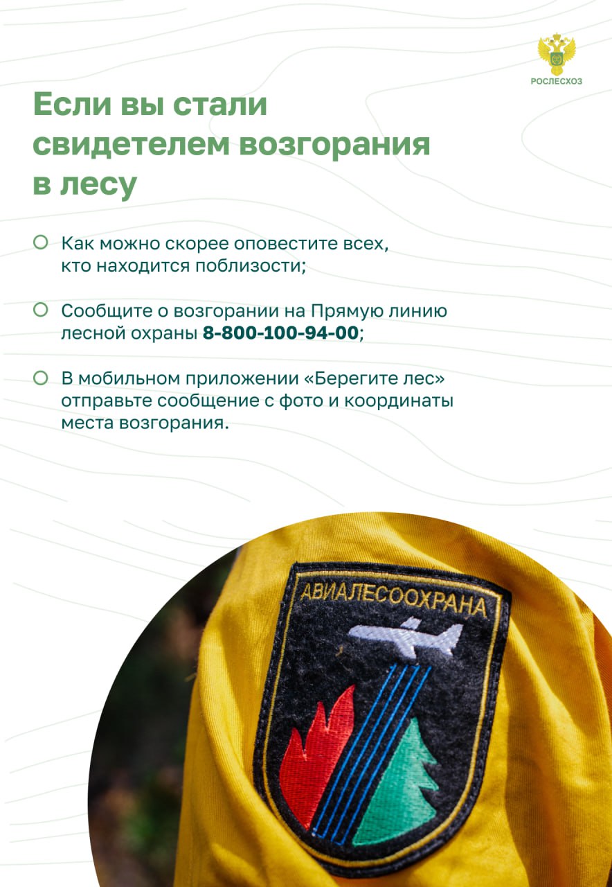 Остановим огонь, Правила