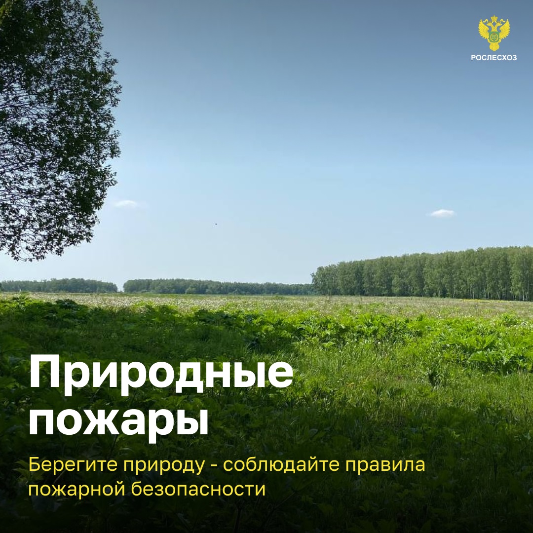 Остановим огонь, Правила