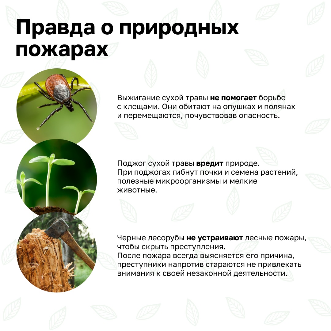 Остановим огонь, Правила