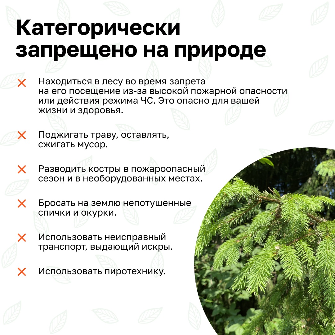 Остановим огонь, Правила
