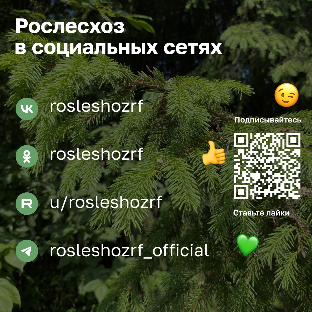 Остановим огонь, Правила